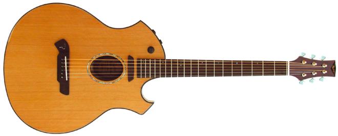 Parker P8E acoustic guitar